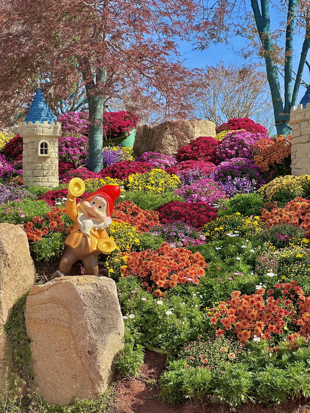 11.27青秀山实况！美得像童话