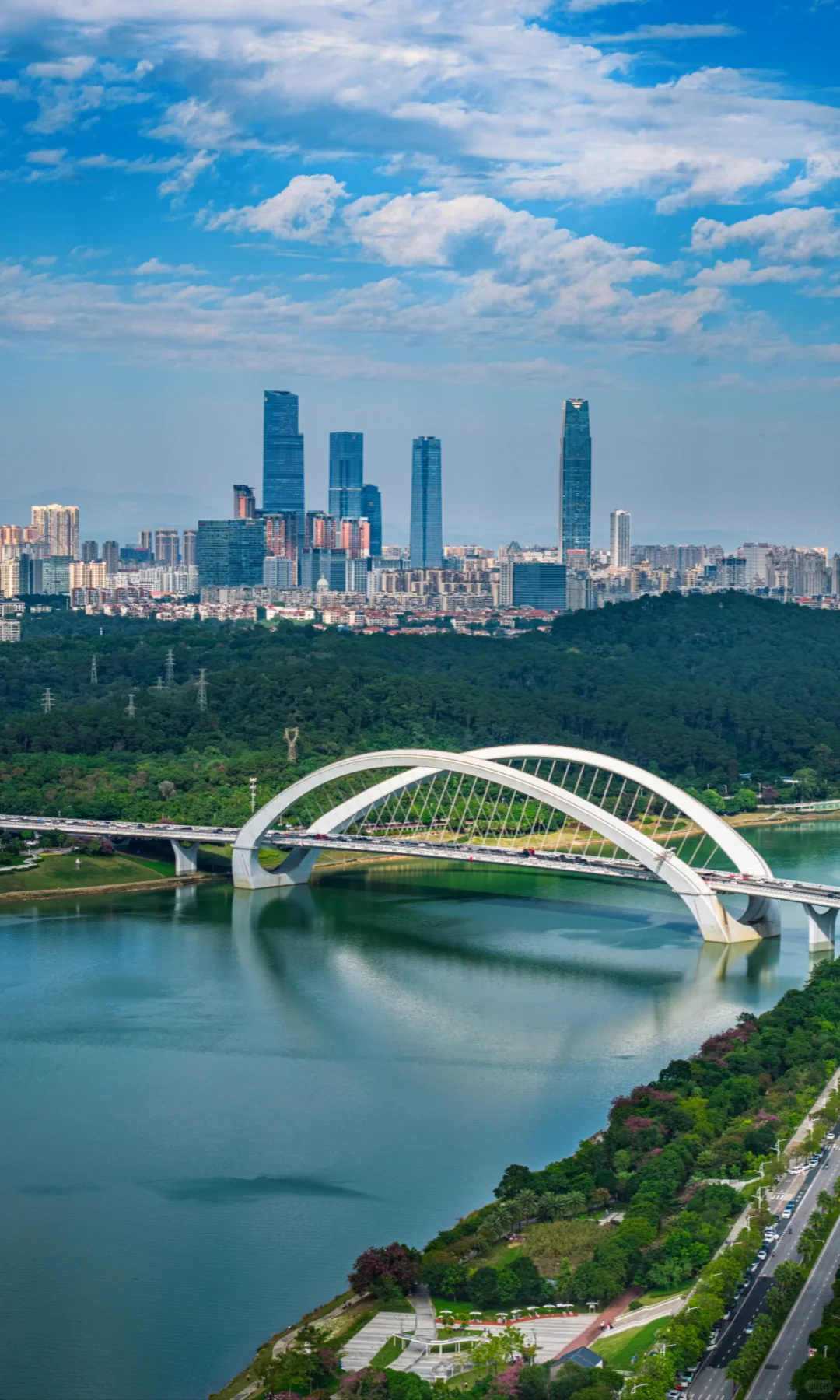 离开南宁才知道绿城两个字的含金量有多高