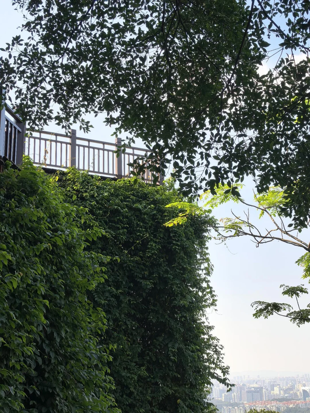 南宁真的很好睡 很宜居