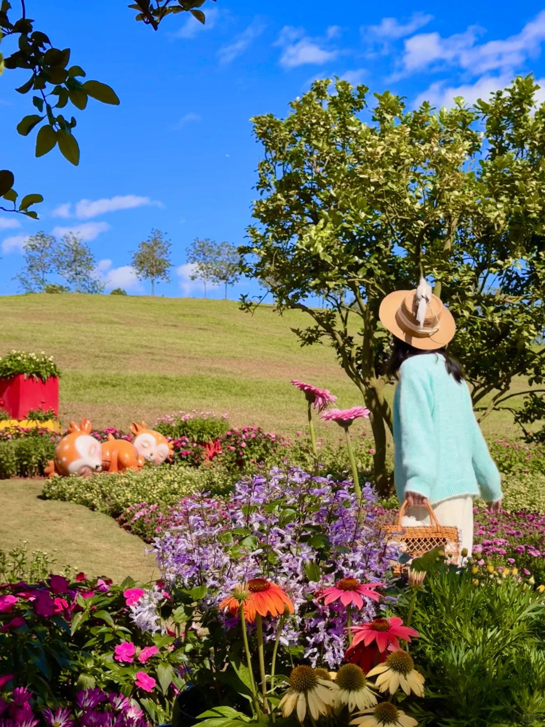 南宁菊花展！！第一梯队速报！！