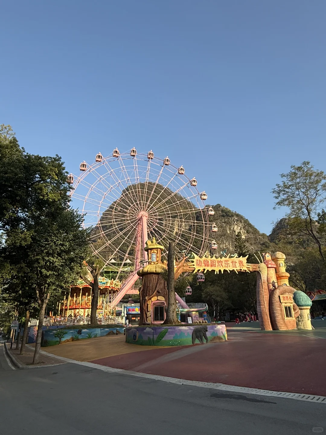 mini么去柳州动物园看大熊猫明浜&蜀琳