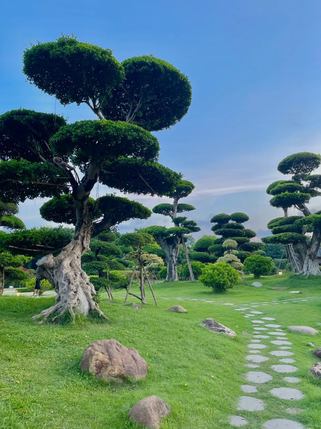 在南宁！这是什么神仙地方⁉️美到窒息🌳