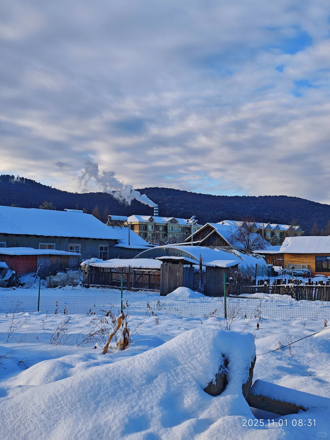 南宁-漠河，小土豆的快乐追雪日记❄️
