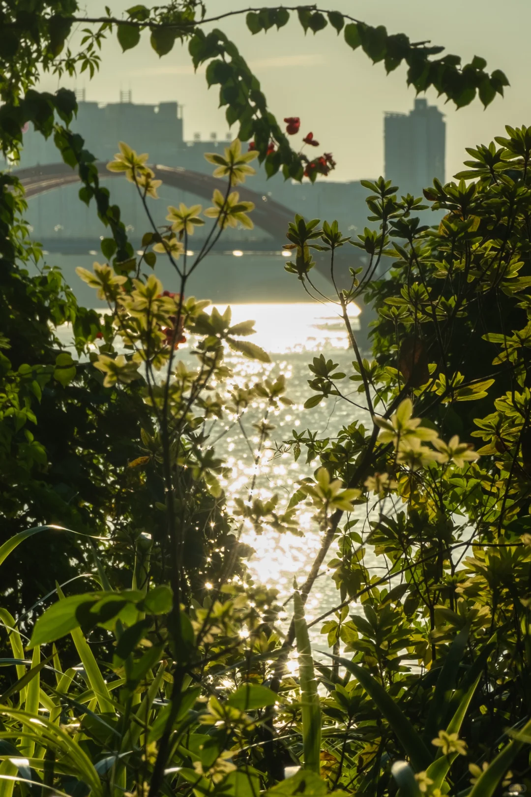 柳州Citywalk拍照打卡路线