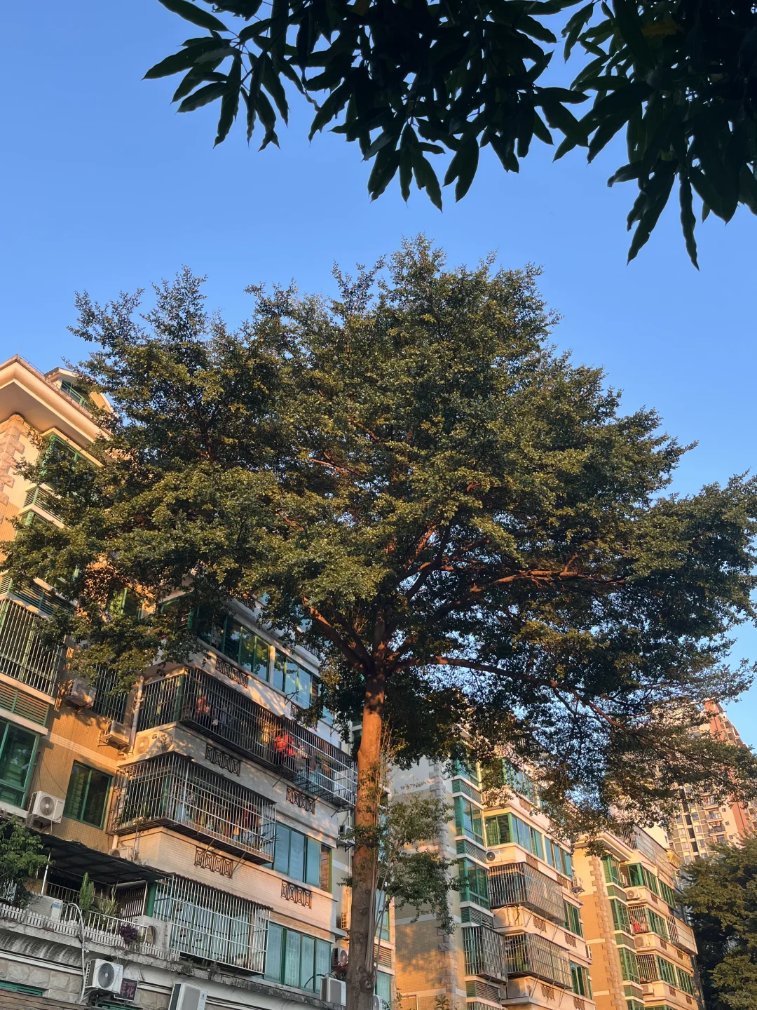 去广西！不要放过这个南宁！！！