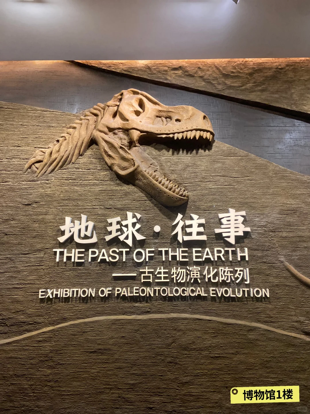 后劲太大❗️柳州居然藏了个全国No1博物馆