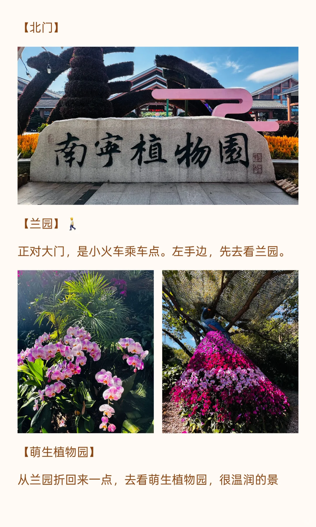 南宁青秀山11月份游玩攻略