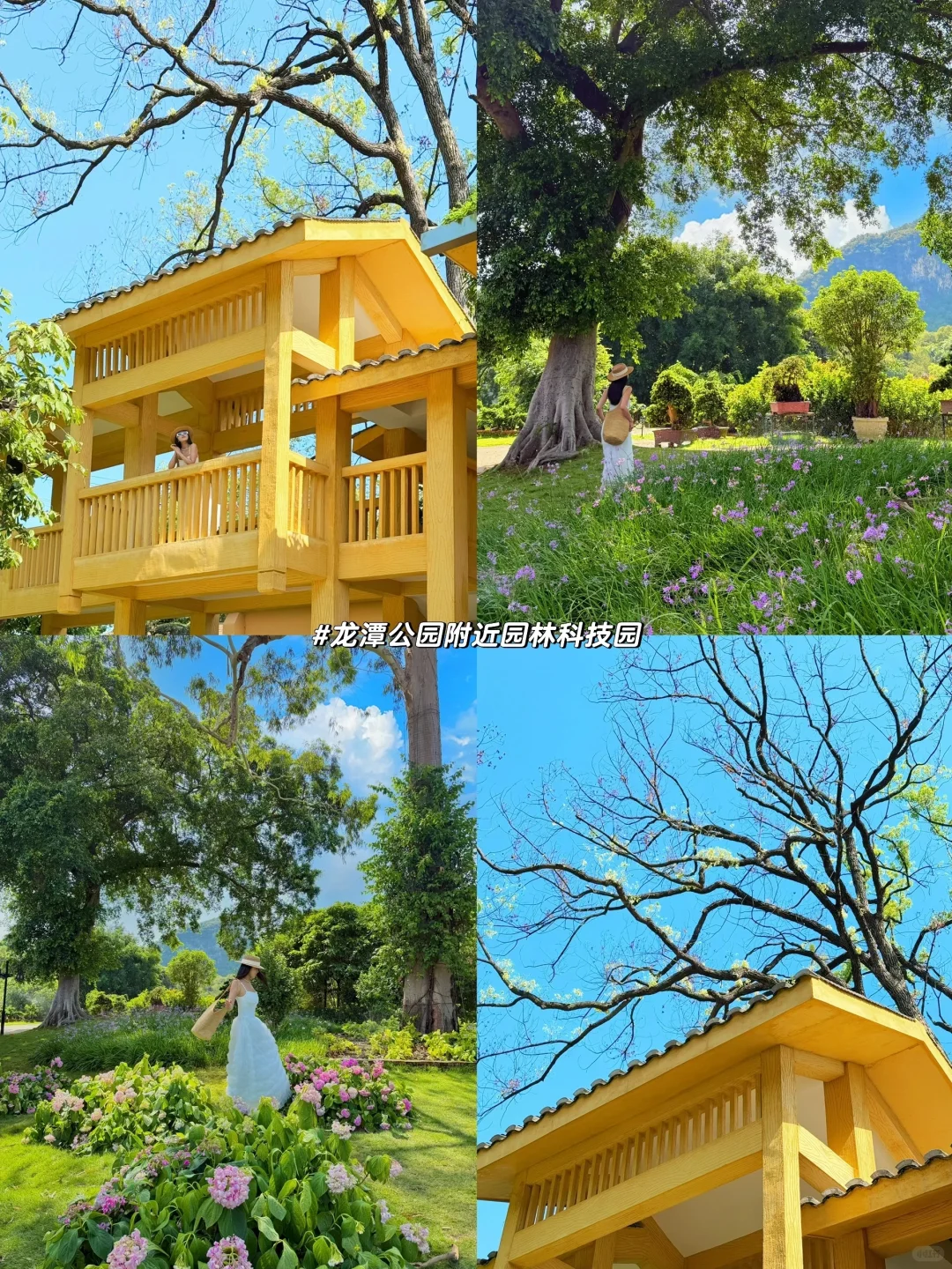 柳州两天一夜攻略‼️不绕路玩遍柳州✔️