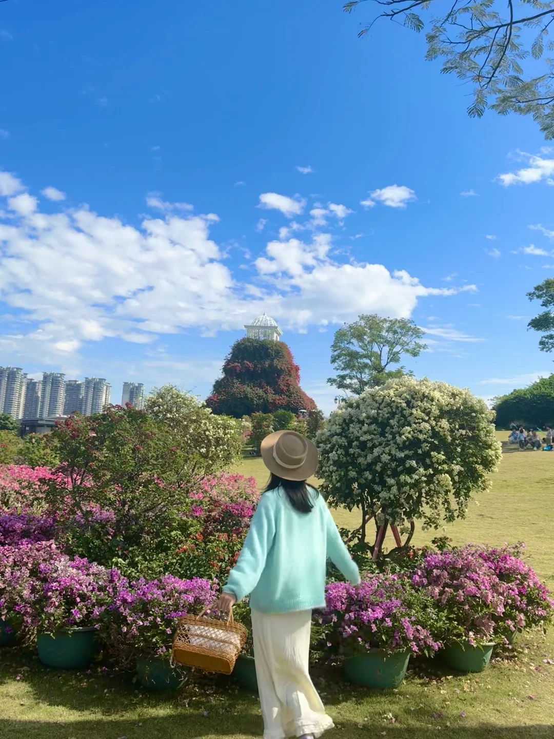 南宁菊花展！！第一梯队速报！！