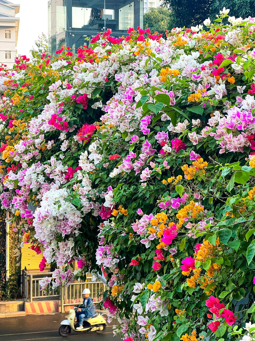 南宁citywalk。。。跑了这18个地方，我惊呆了！