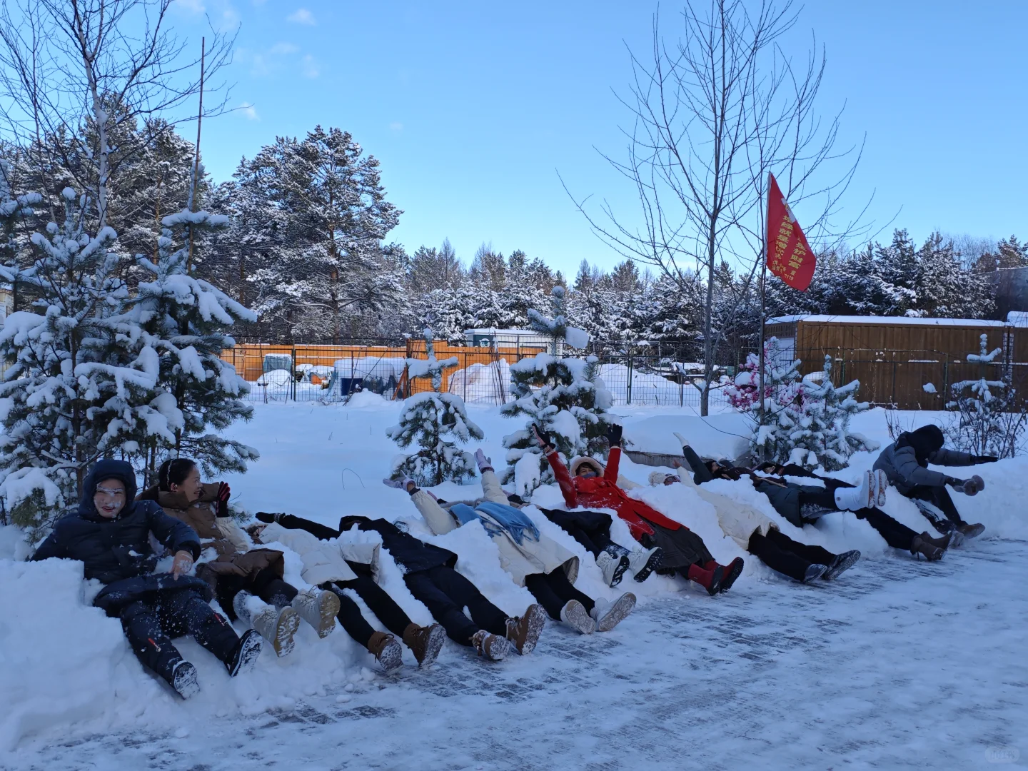 南宁-漠河，小土豆的快乐追雪日记❄️