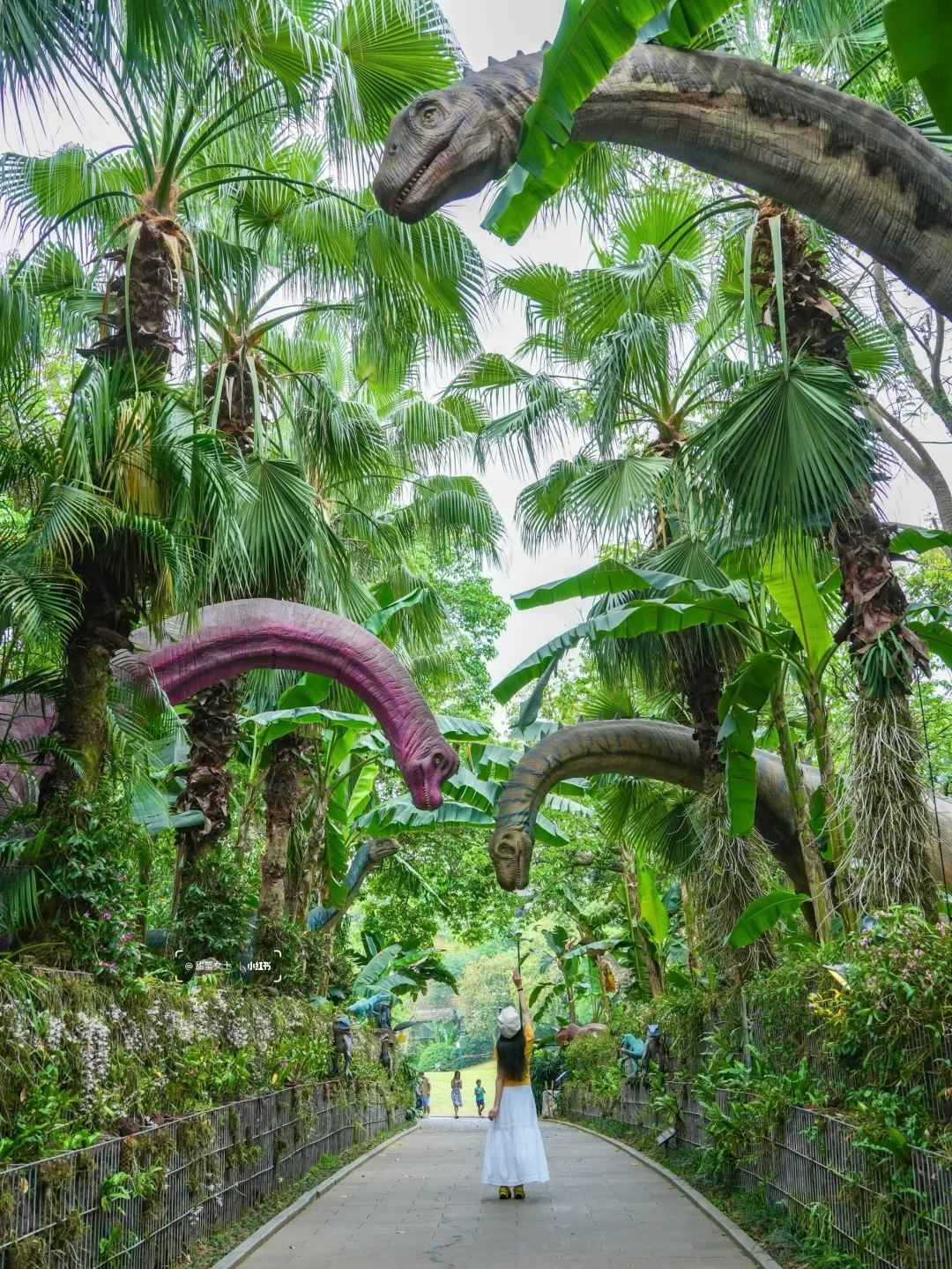 抄作业！来南宁玩两天，请直接复制这条路线‼️