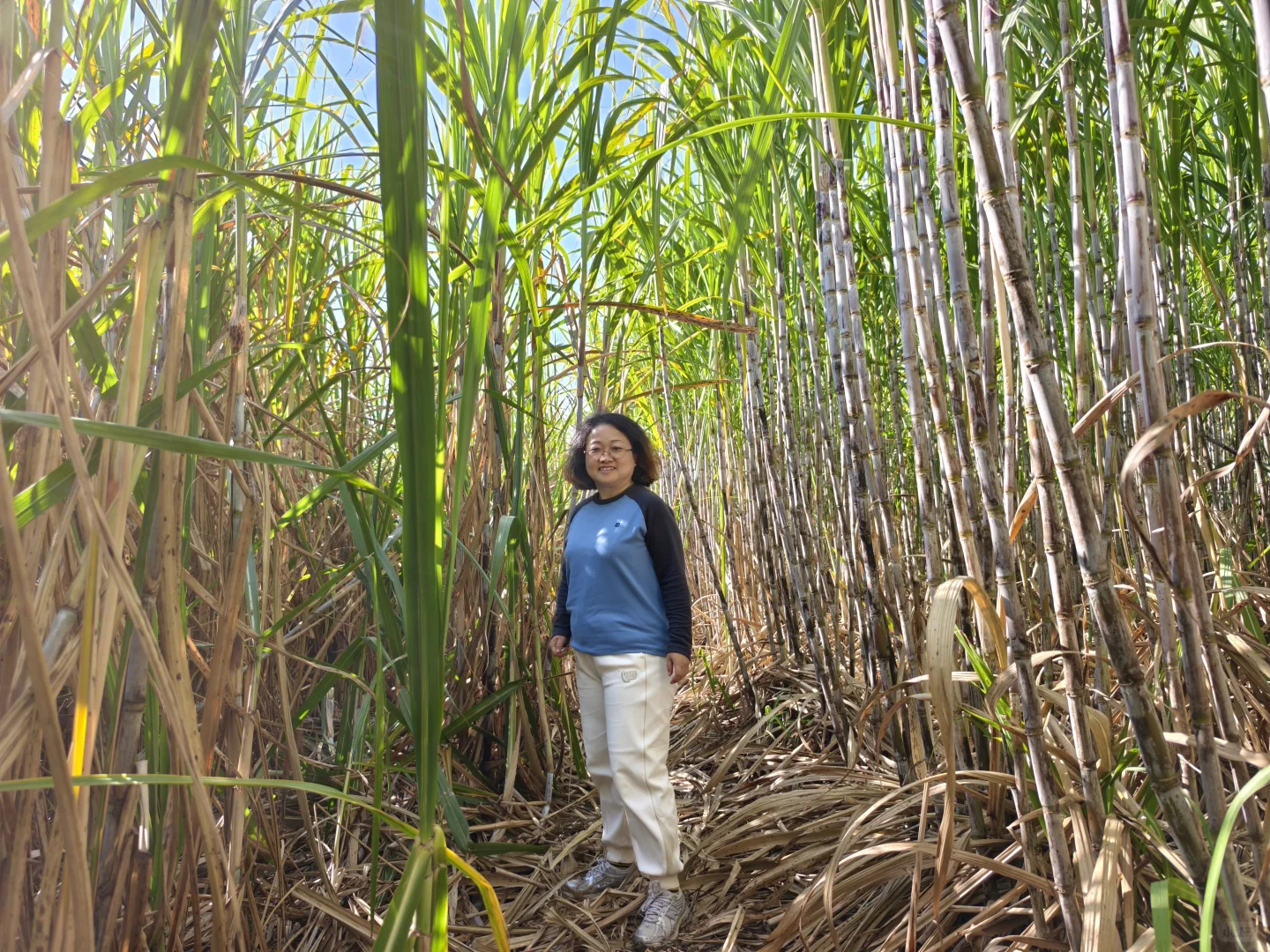 柳州鹿寨、中渡一日游