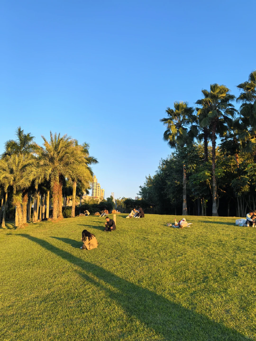 在南宁生活的人应该没什么烦恼吧