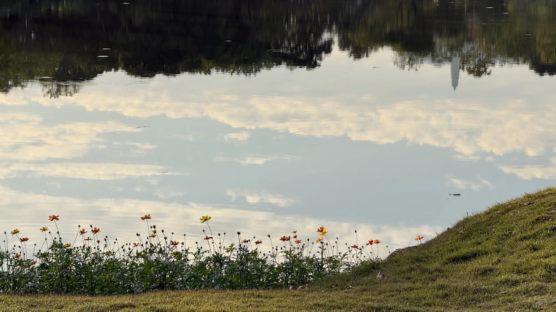 青秀山永远权威·南宁