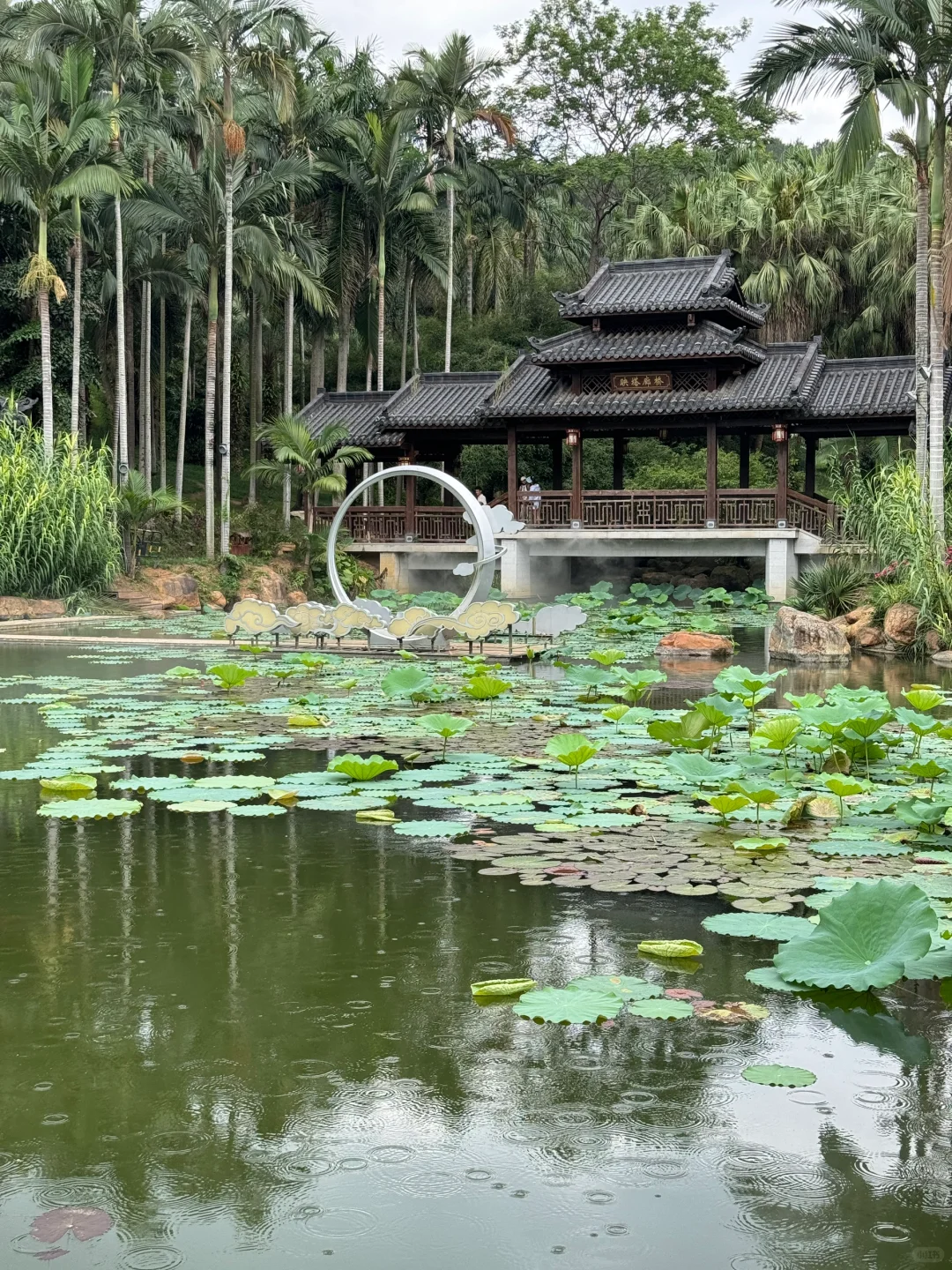植物爱好者来南宁青秀山会激动的疯掉！