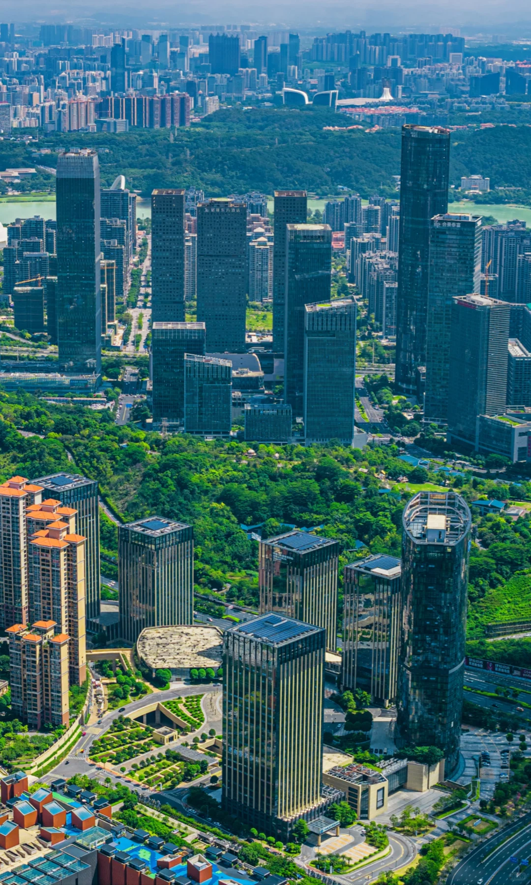 离开南宁才知道绿城两个字的含金量有多高