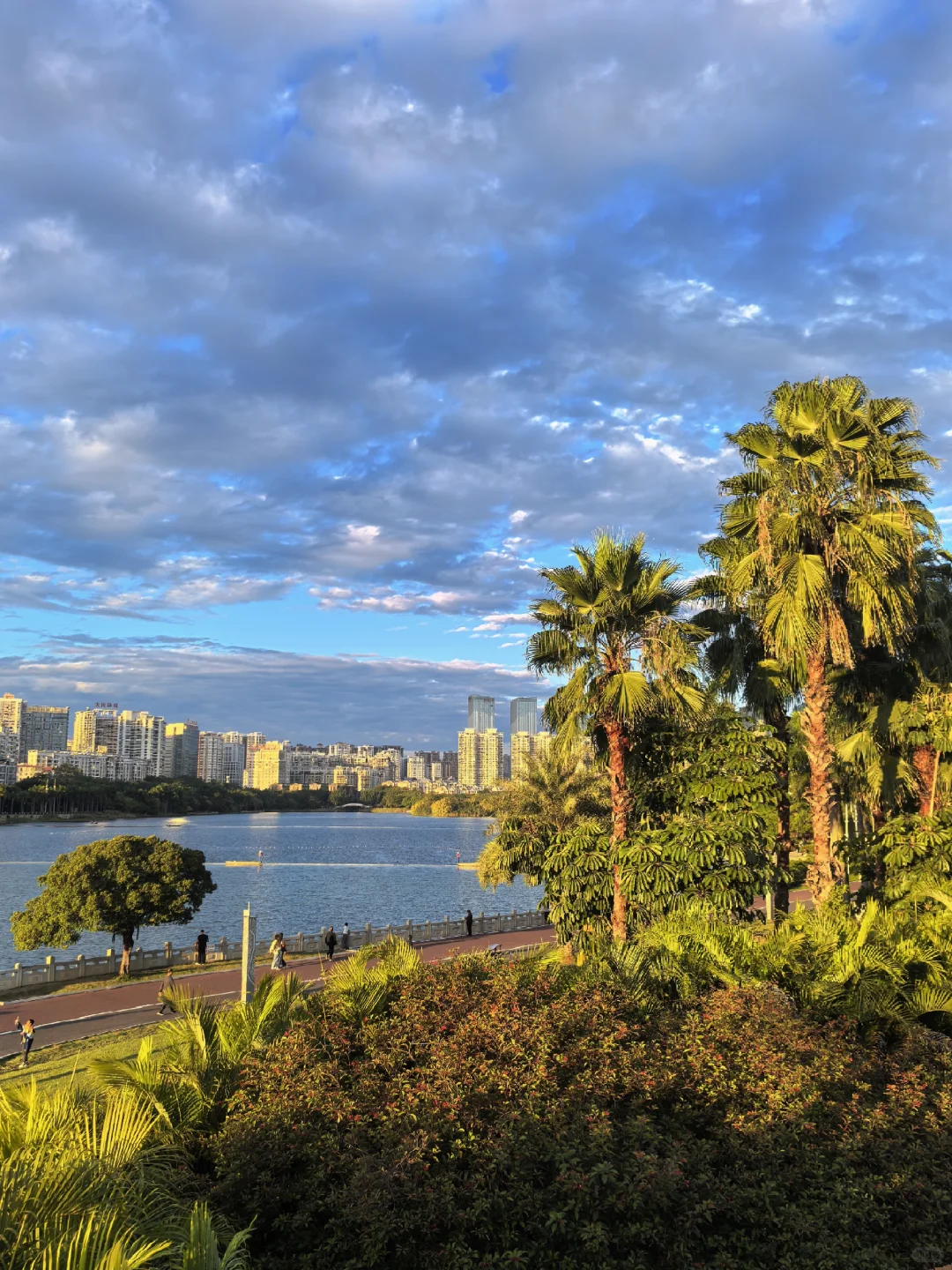 在南宁生活的人应该没什么烦恼吧