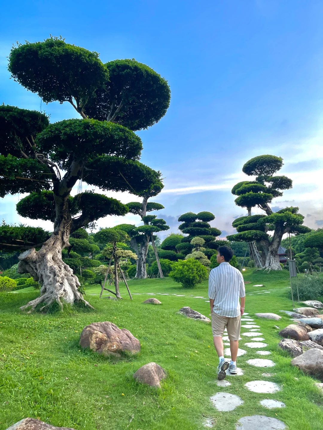 在南宁！这是什么神仙地方⁉️美到窒息🌳