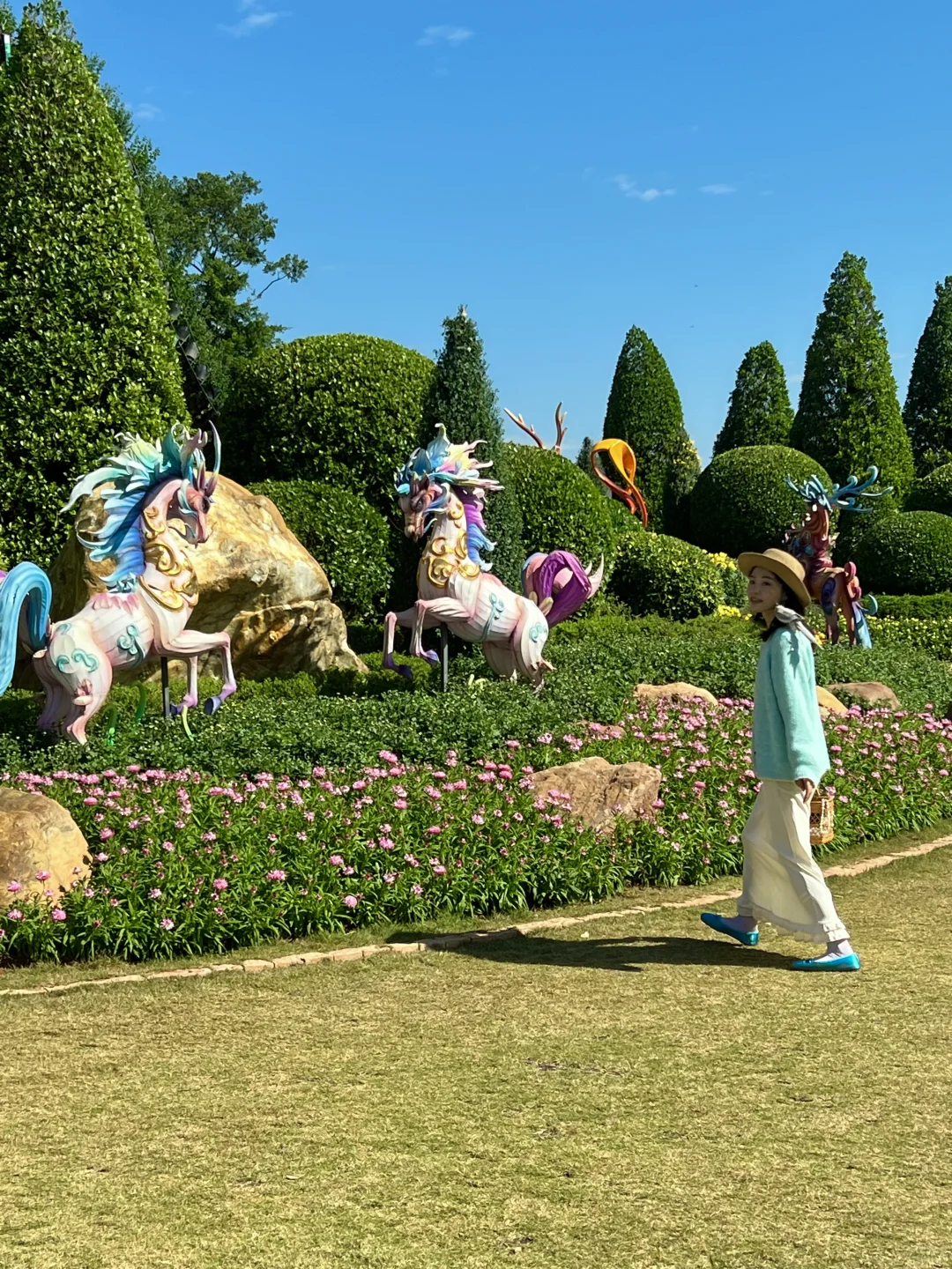 南宁菊花展！！第一梯队速报！！