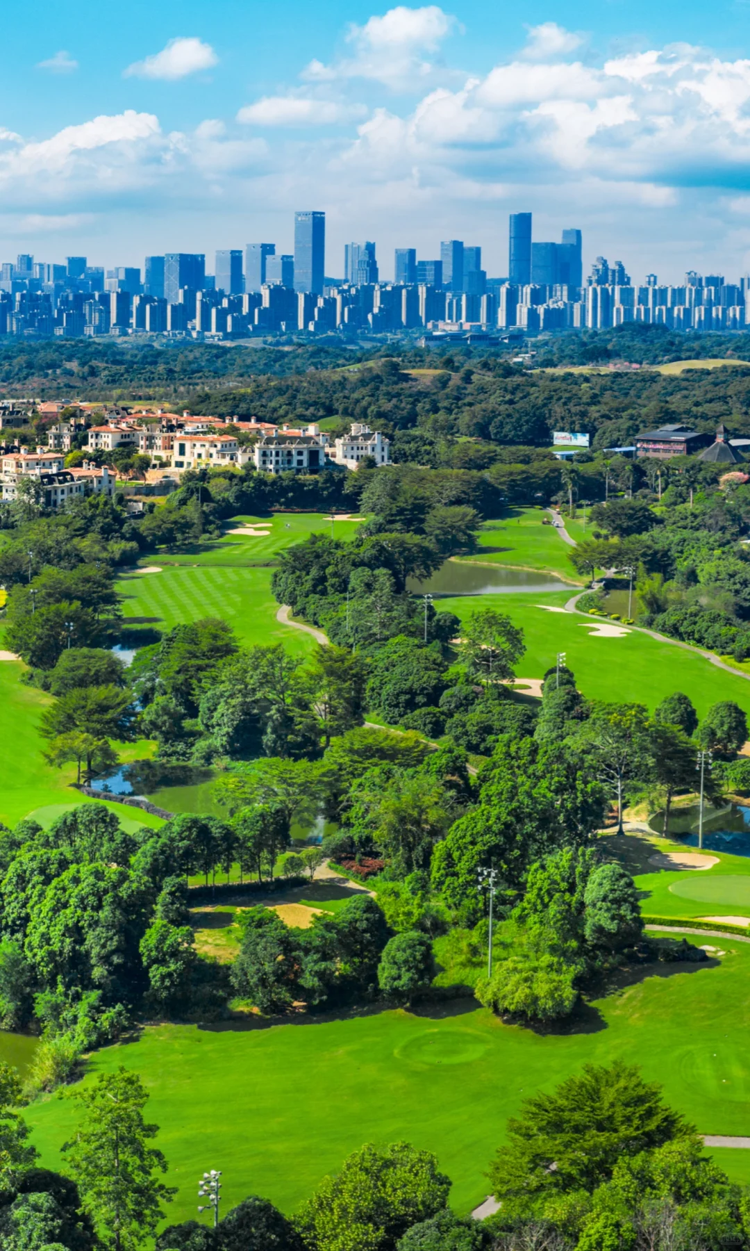 离开南宁才知道绿城两个字的含金量有多高