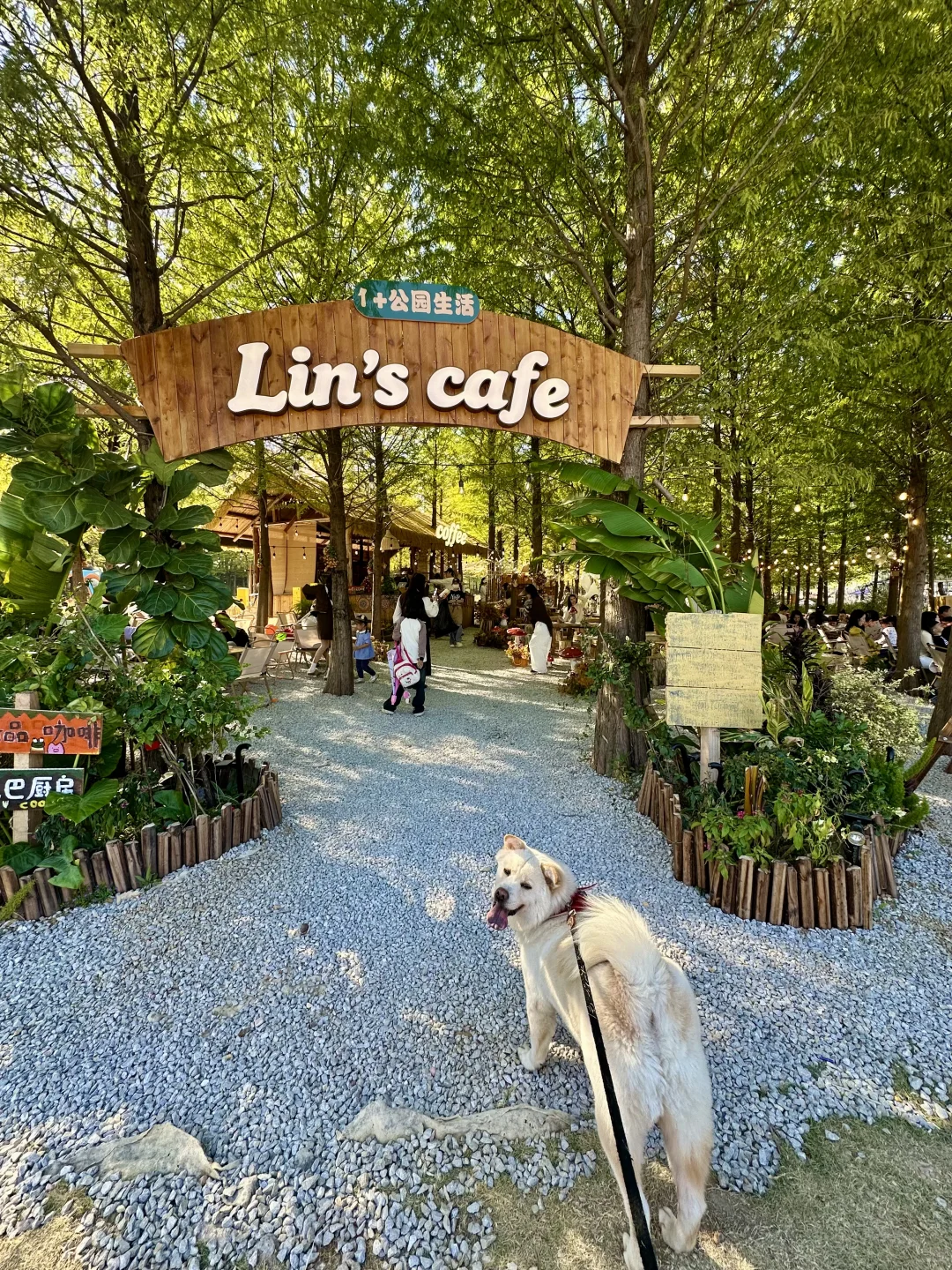 南宁！可以待一整天的绿光森林！！