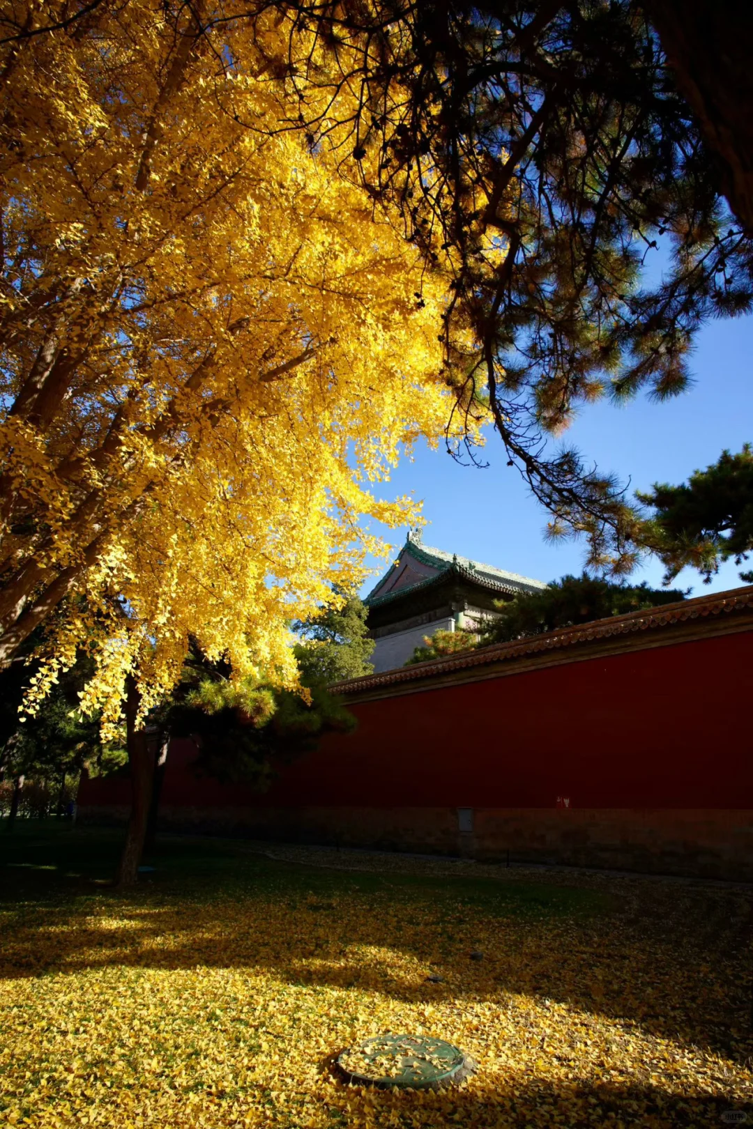 南宁周末两天赏秋攻略🍁看着一篇就够啦‼️