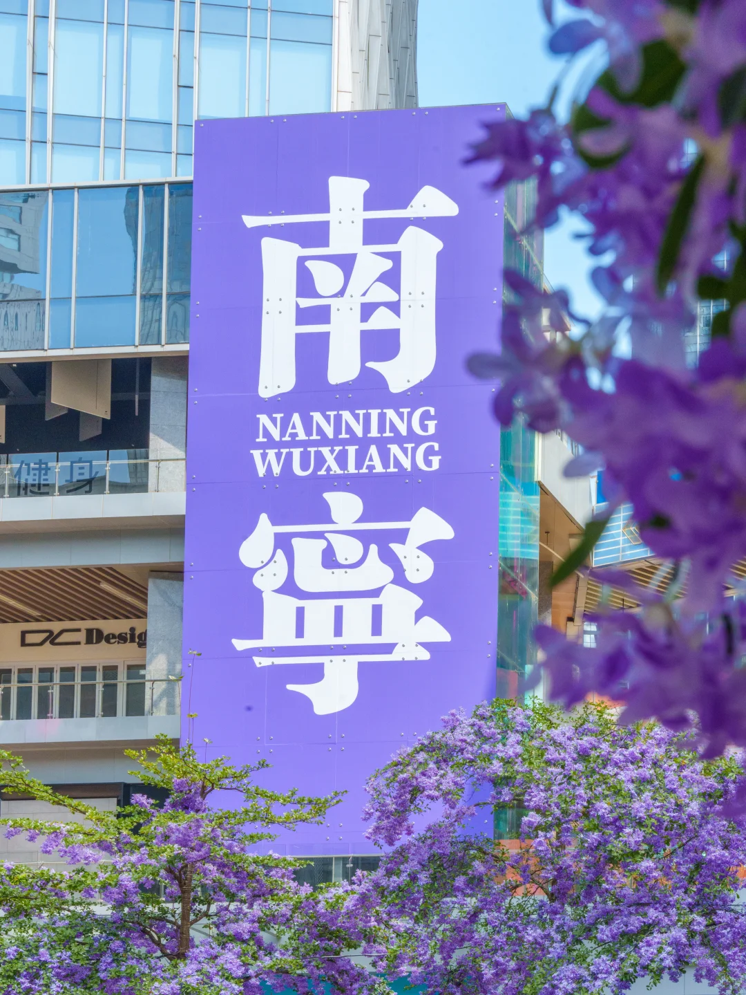 南宁也太好拍了吧！逛完直接入手了新手机📱