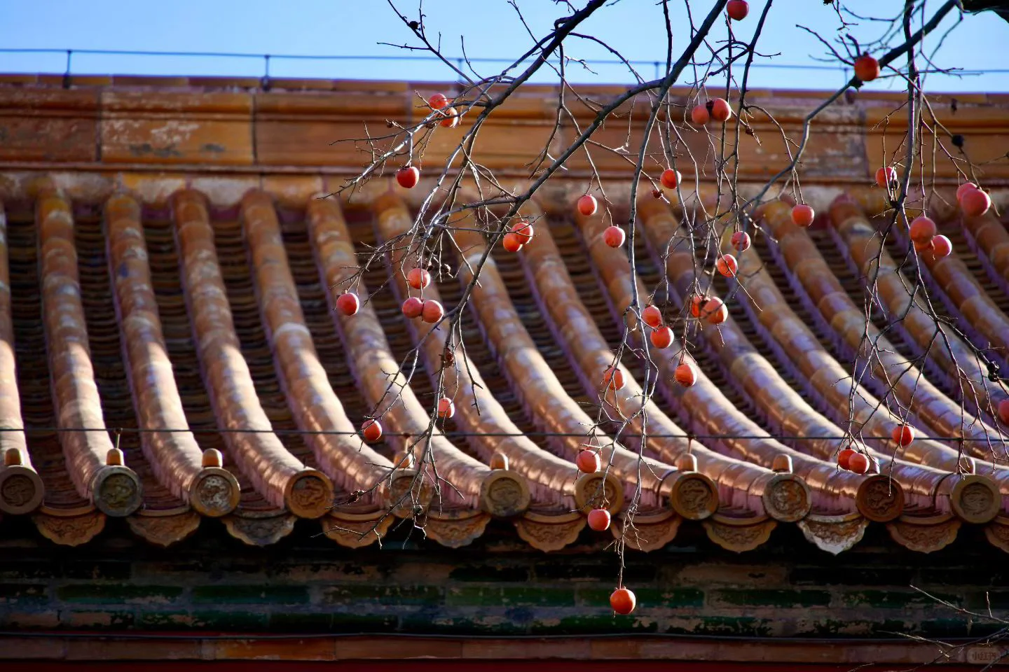 南宁周末两天赏秋攻略🍁看着一篇就够啦‼️