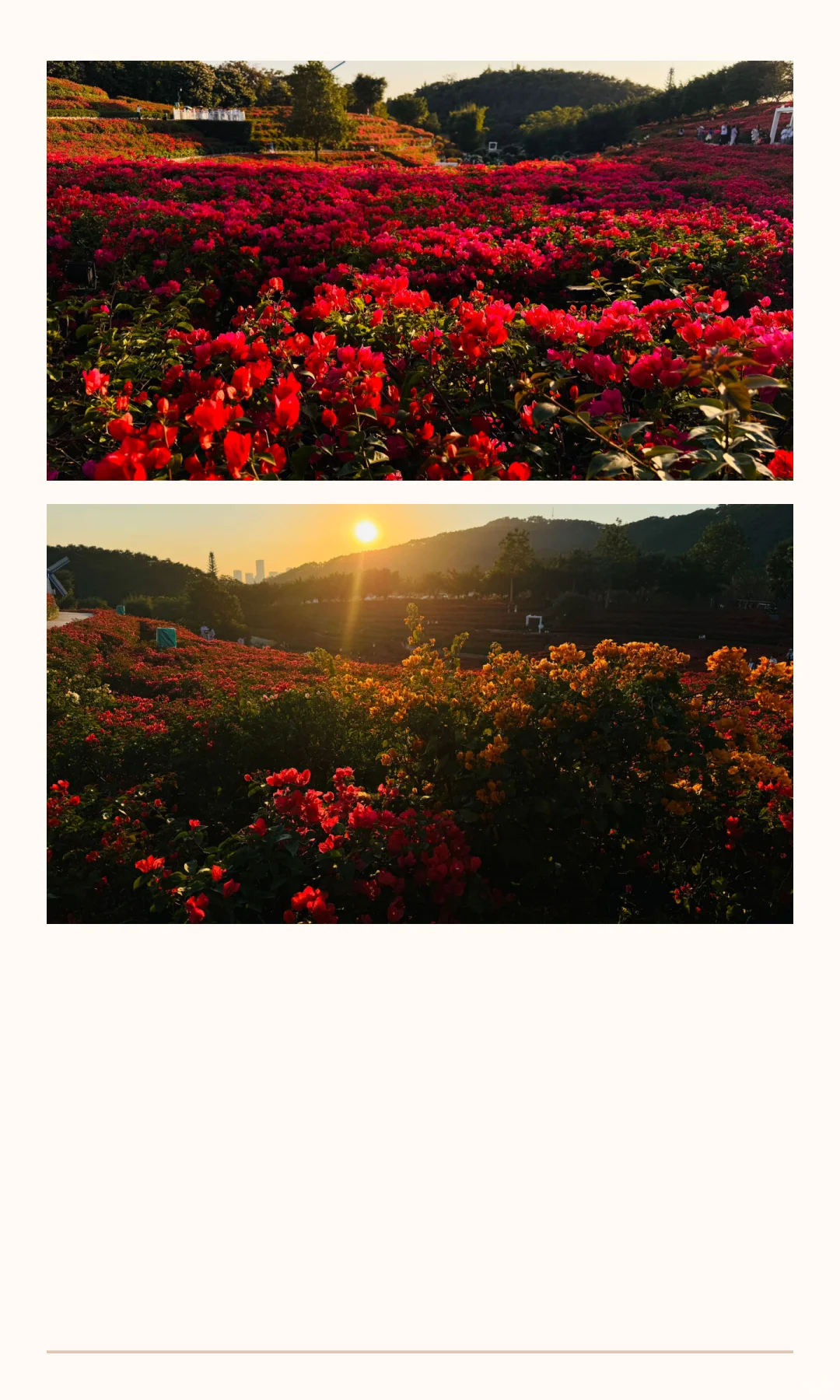 南宁青秀山11月份游玩攻略