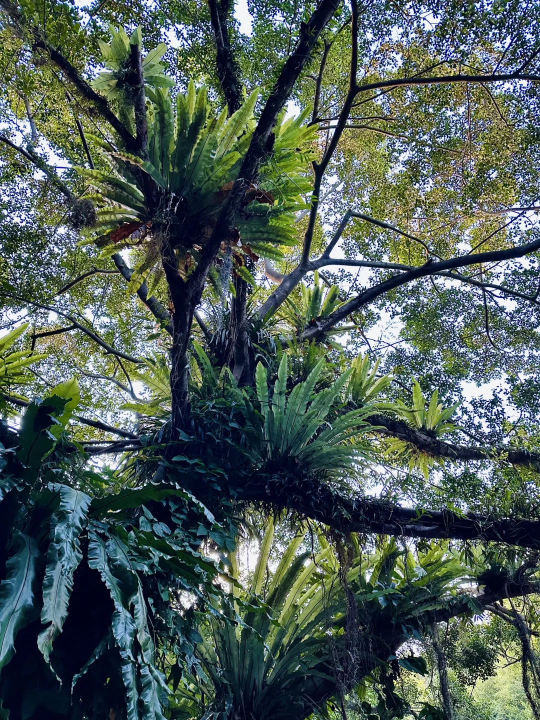 南宁唯一可以citywalk30000步的地方