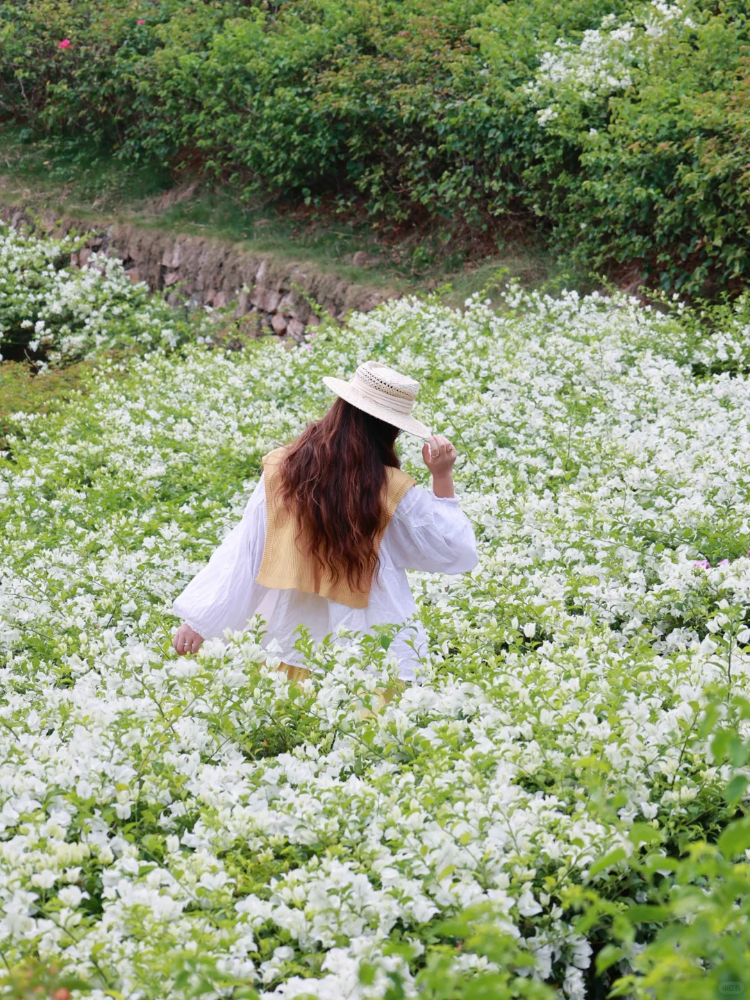 在南宁！我找到了宫崎骏的童话世界