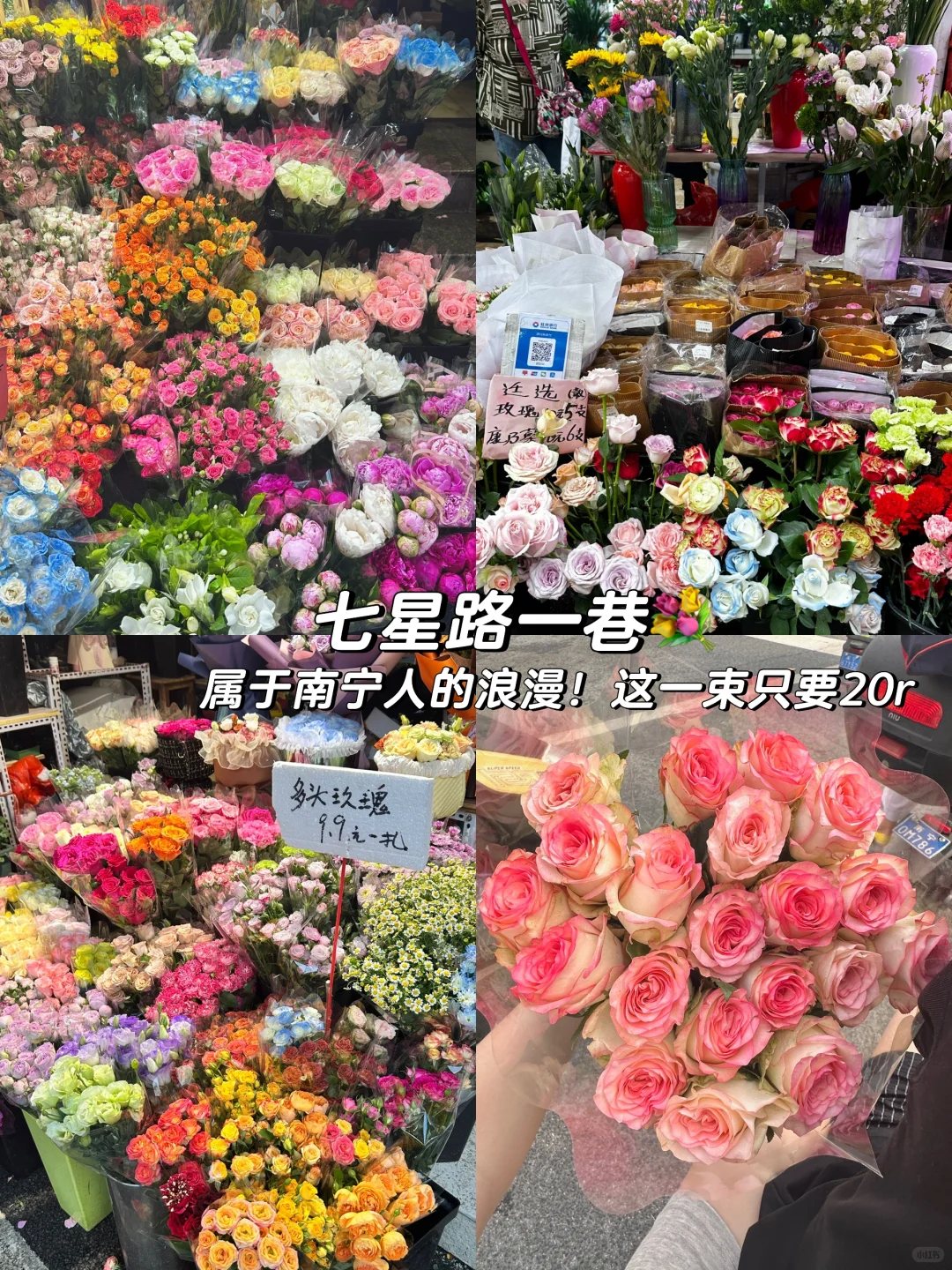 全网最全南宁攻略来喽！！！