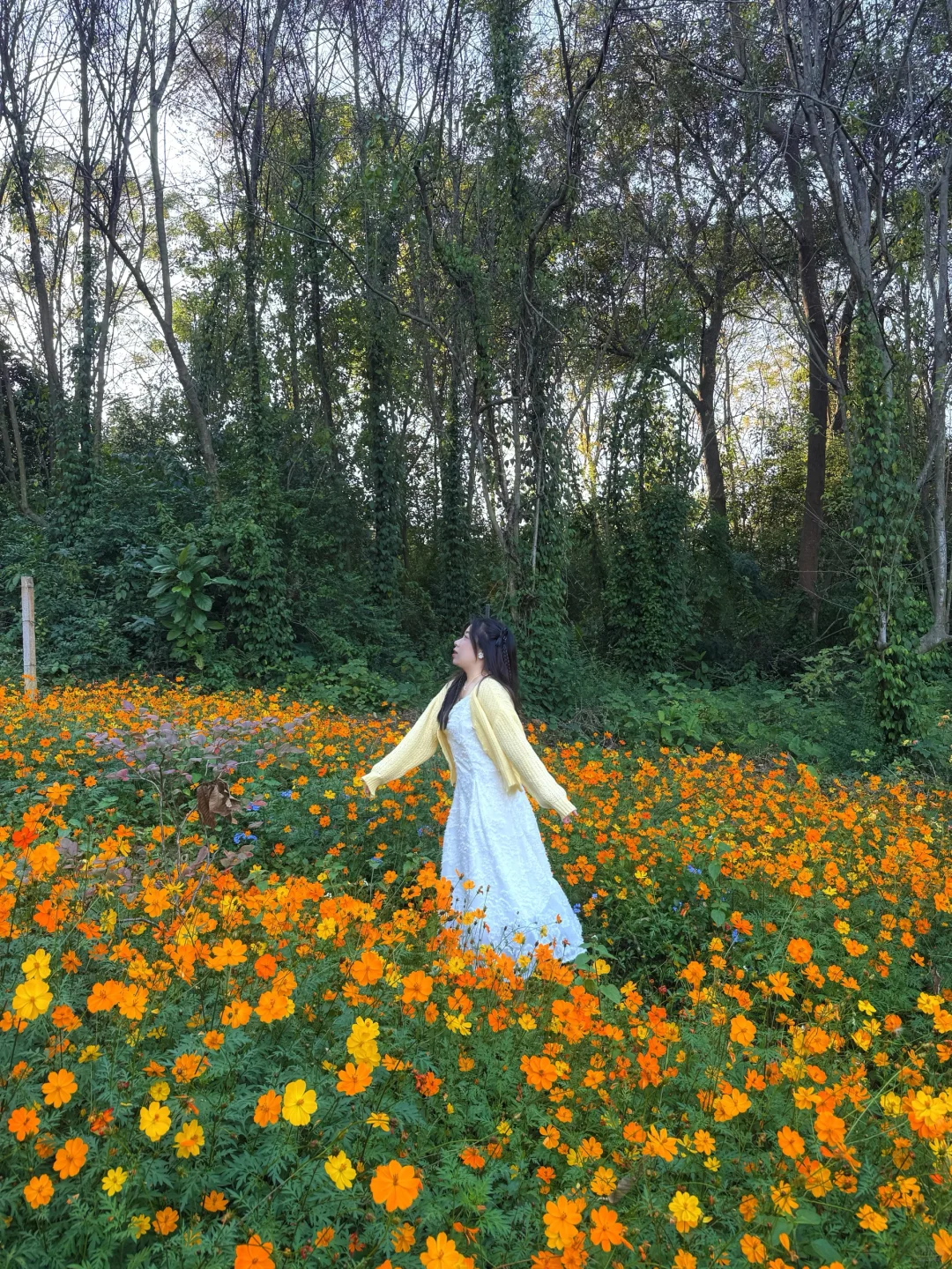 柳州｜漫花庄园太适合拍照📷了吧