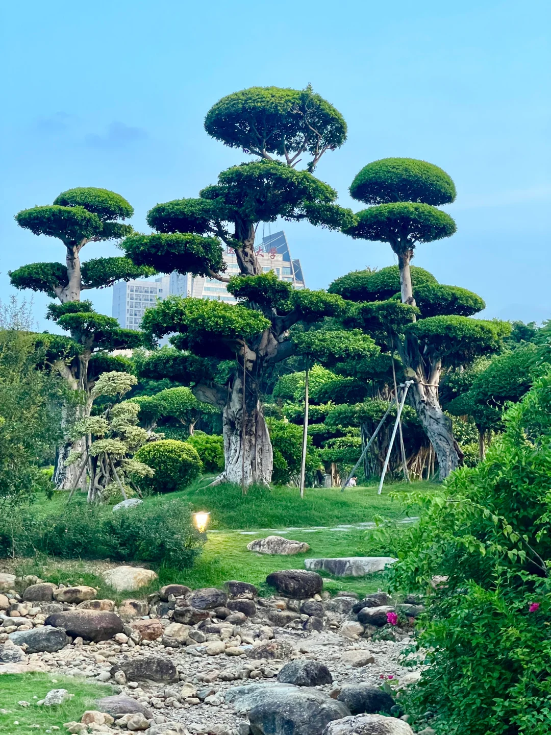 在南宁！这是什么神仙地方⁉️美到窒息🌳