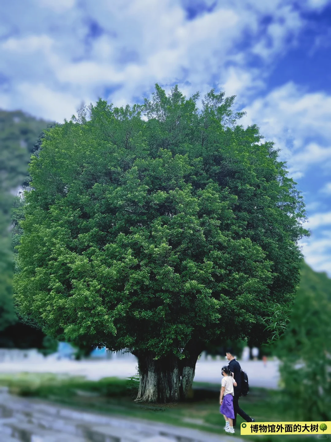 后劲太大❗️柳州居然藏了个全国No1博物馆