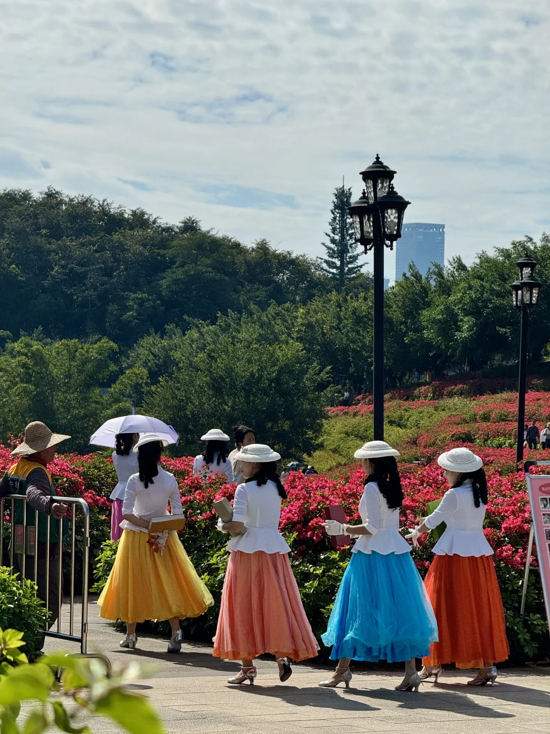 南宁菊花展！！第一梯队速报！！