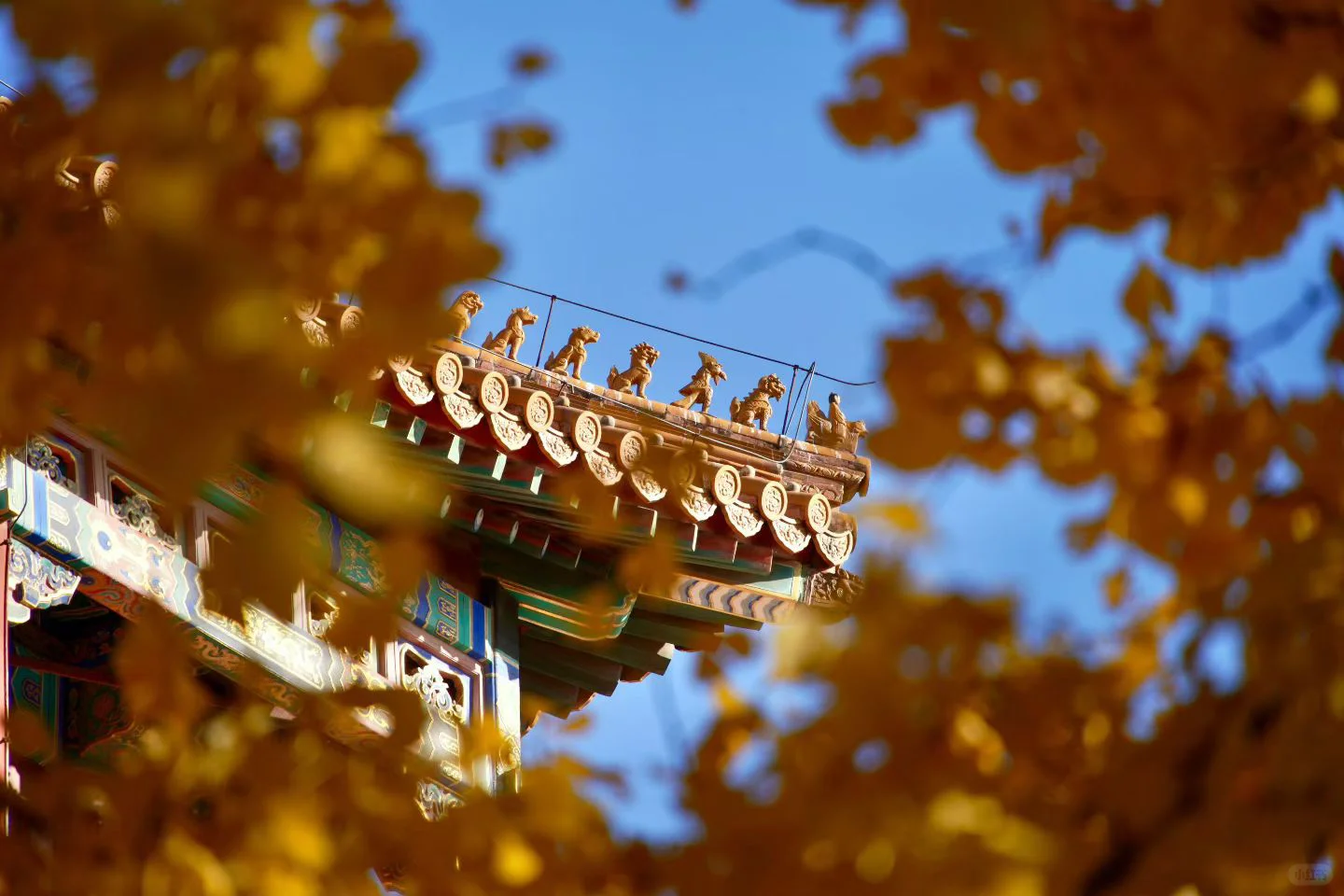 南宁周末两天赏秋攻略🍁看着一篇就够啦‼️