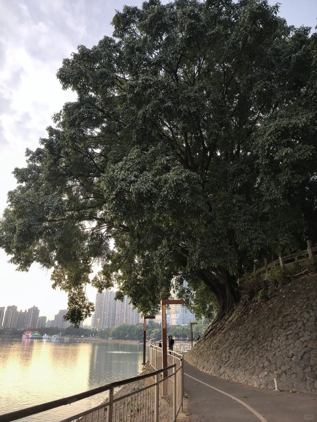 南宁真的很好睡 很宜居