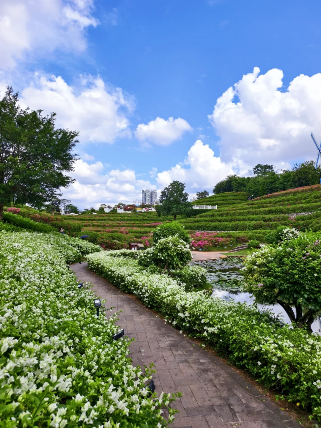 在南宁！我找到了宫崎骏的童话世界