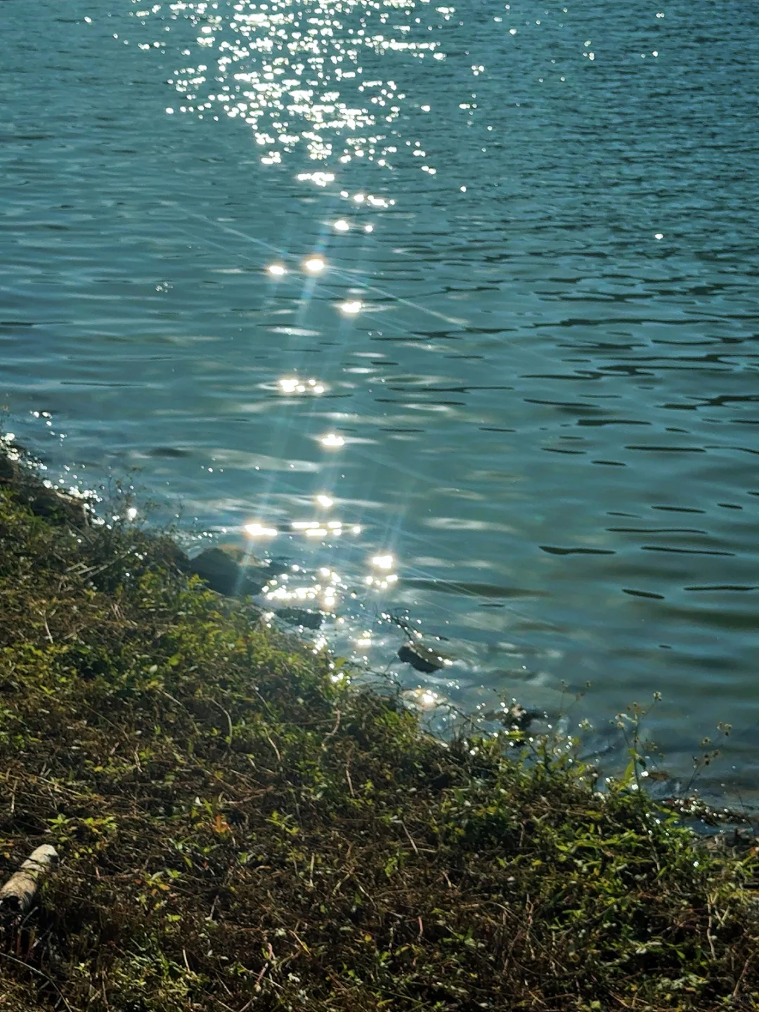 来柳州看“海”🌊、这里太适合拍照了～～