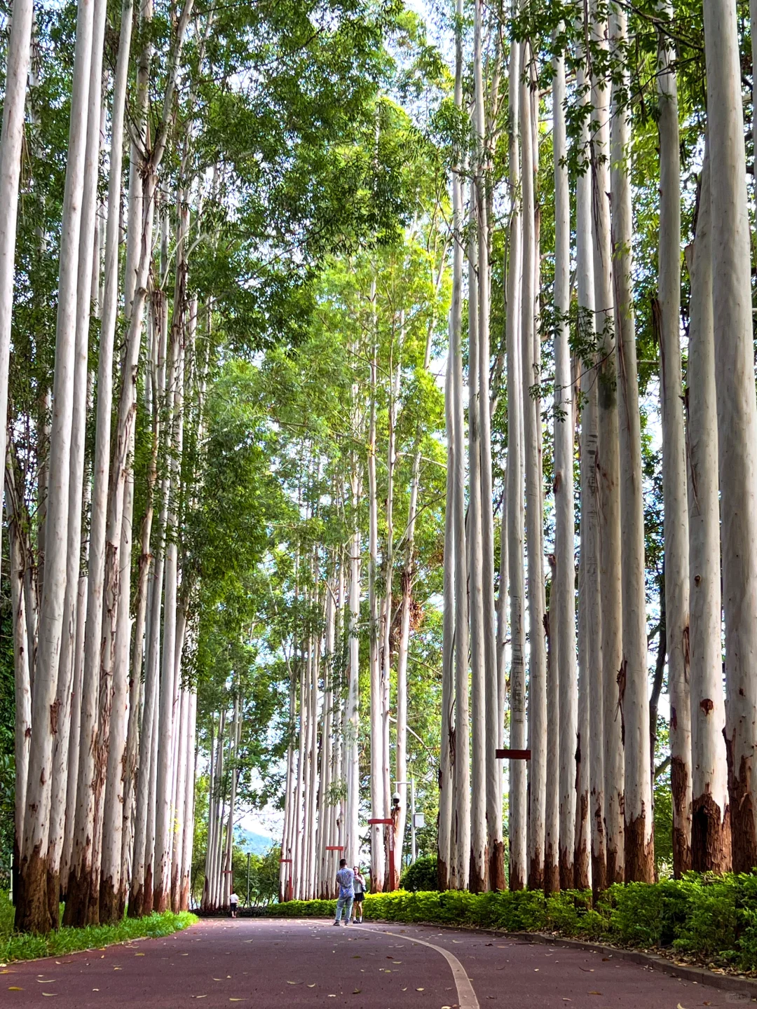 南宁citywalk。。。跑了这18个地方，我惊呆了！