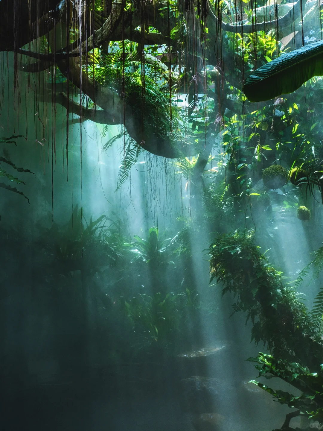 你可能不认识我，但你一定看过我拍的南宁