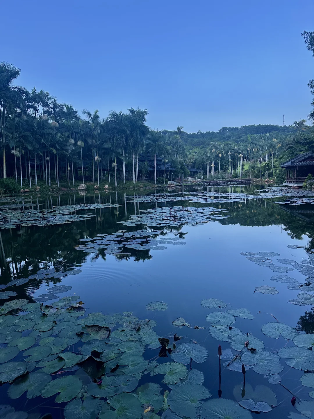 南宁唯一可以citywalk30000步的地方