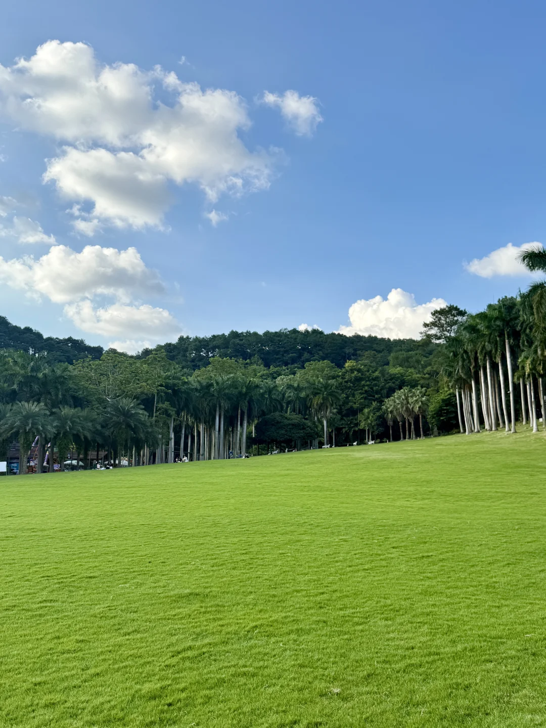 南宁青秀山4️⃣小时，不费脚！出片机位全攻略