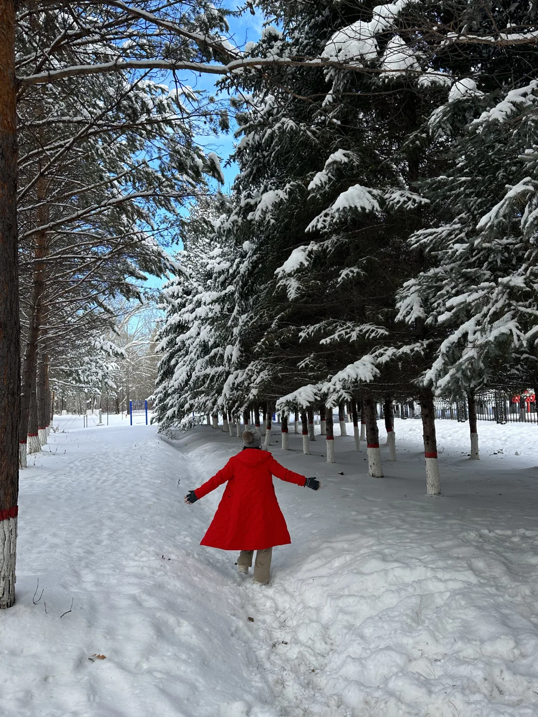 南宁-漠河，小土豆的快乐追雪日记❄️