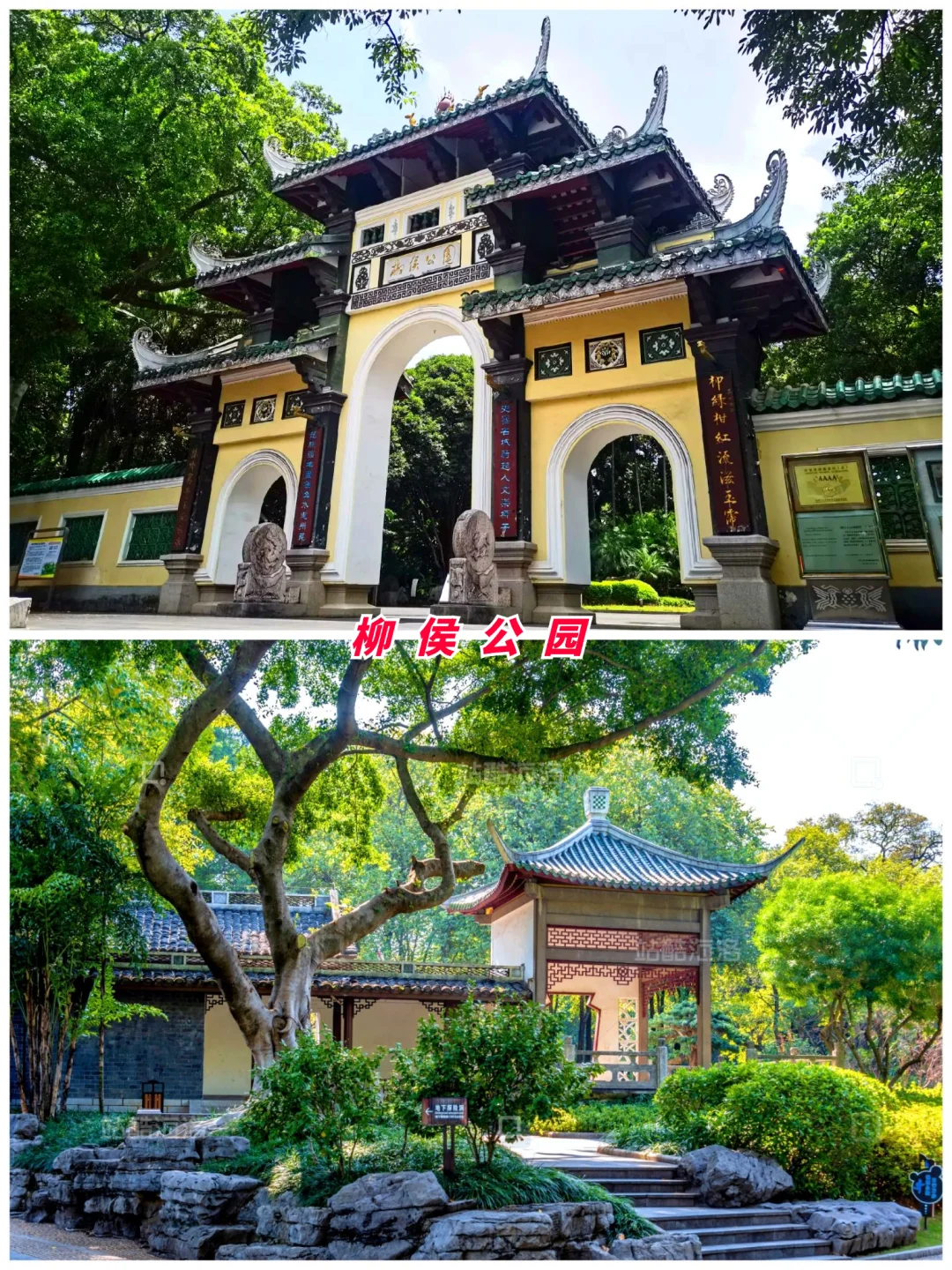 广西旅游第3站 | 柳州最值得去的8个景点‼