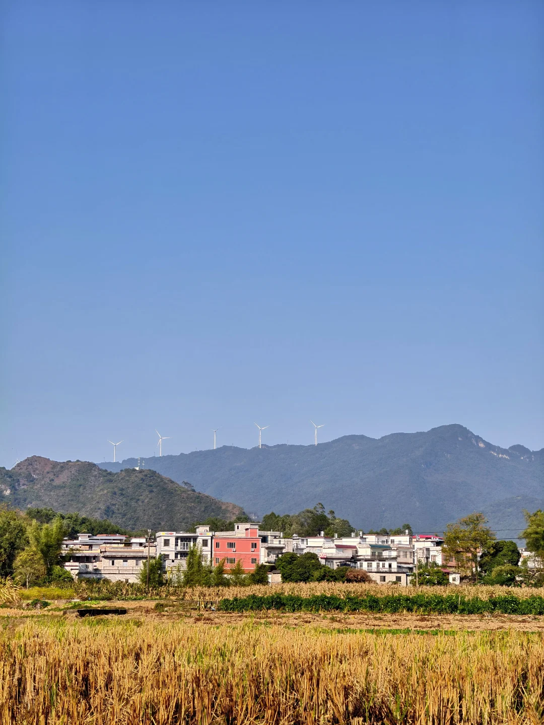 南宁大明山露营