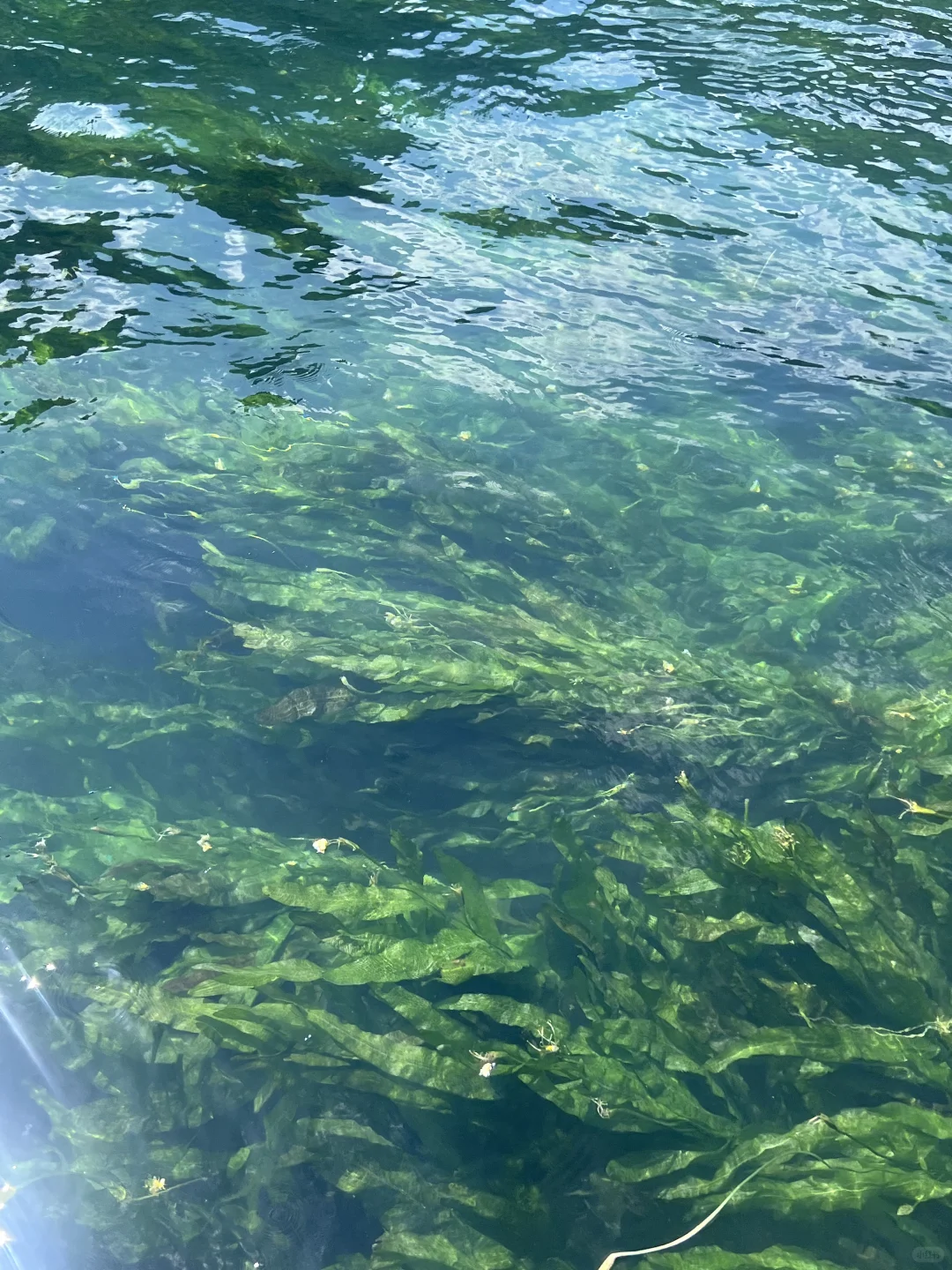 🌿广西隐藏玩法｜人均1k玩转山水秘境✨