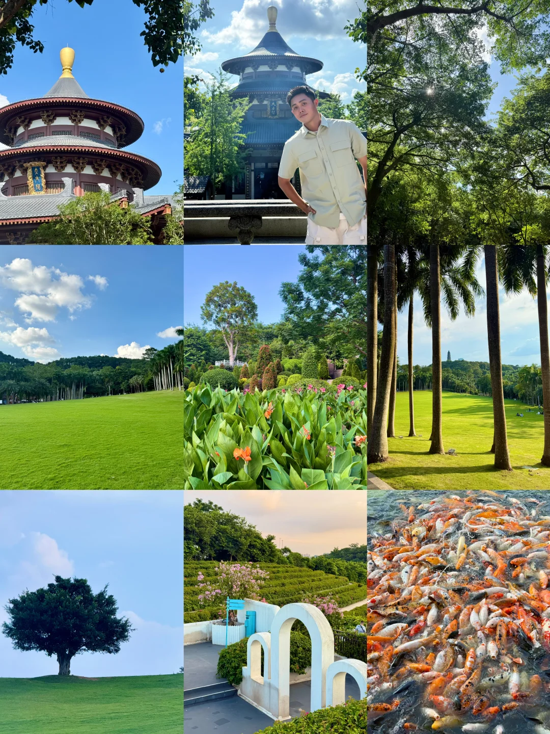 南宁青秀山4️⃣小时，不费脚！出片机位全攻略